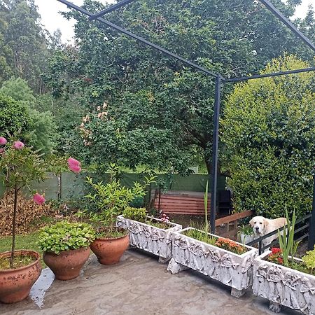 Cabana Monte Do Castro Porto do Son Zewnętrze zdjęcie