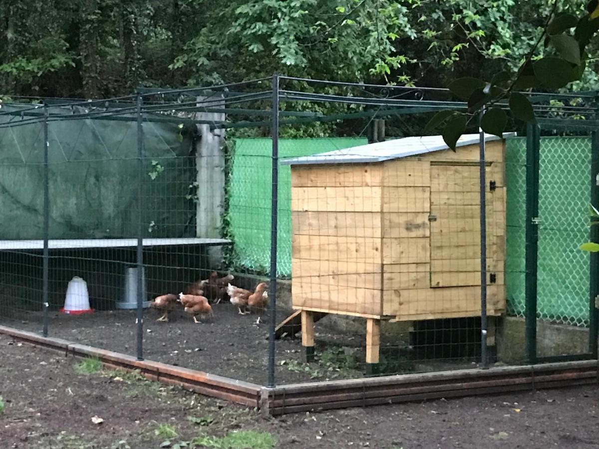Cabana Monte Do Castro Porto do Son Zewnętrze zdjęcie