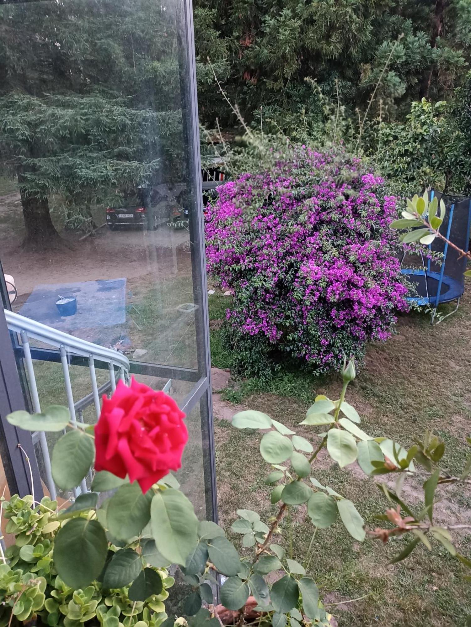Cabana Monte Do Castro Porto do Son Zewnętrze zdjęcie