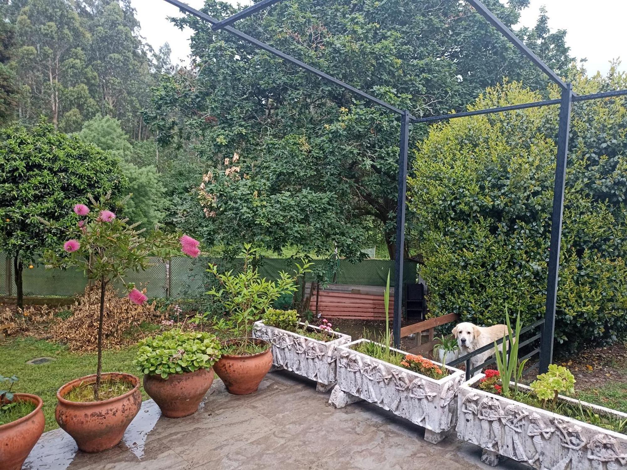 Cabana Monte Do Castro Porto do Son Zewnętrze zdjęcie